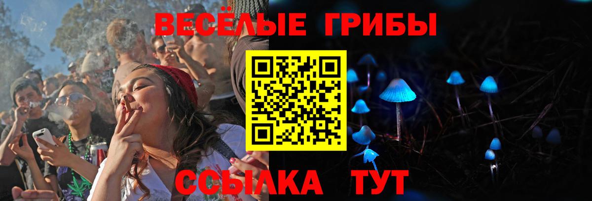 Каменка  Галлюциногенные грибы мухоморы  Вход с VPN 