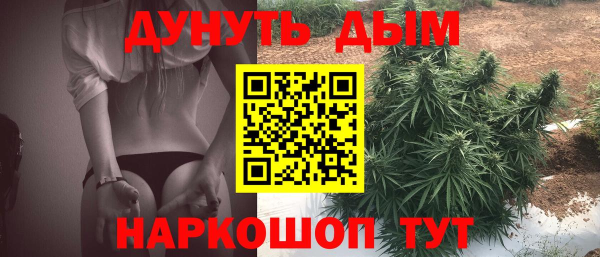 Марихуана Ganja  Бошки Шишки Bruce Banner  Вход с VPN  Каменка  Канабис ГИДРОПОН 